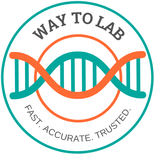 WayToLab Logo